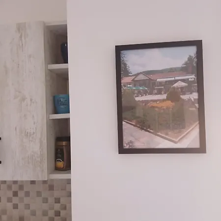 Appartement Bufan Sokobanja